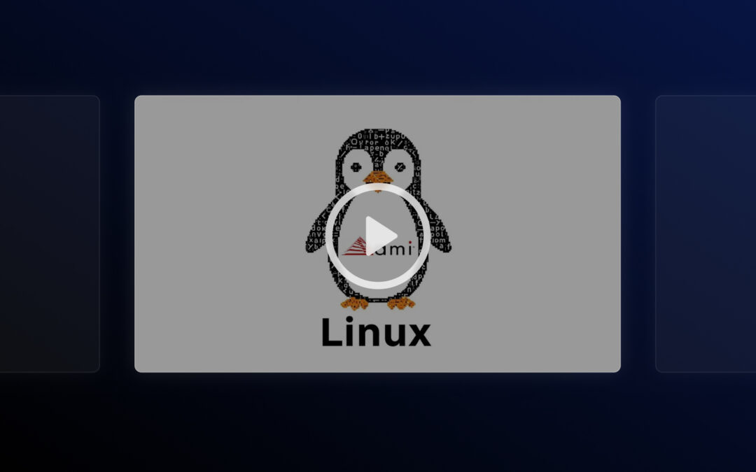 Installing AMI Data Center Manager on Linux | Complete Guide